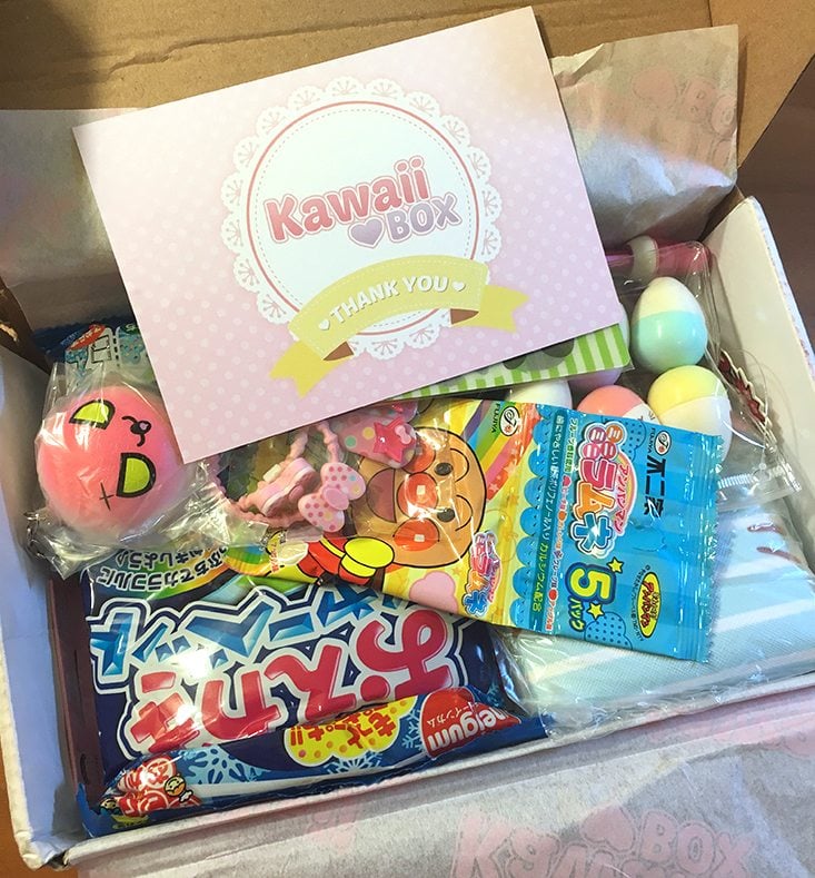 Kawaii-Box-April-2016-First-Look