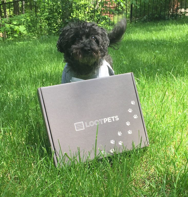 Loot Pets Subscription Box Review + Coupon May 2016 - box pic
