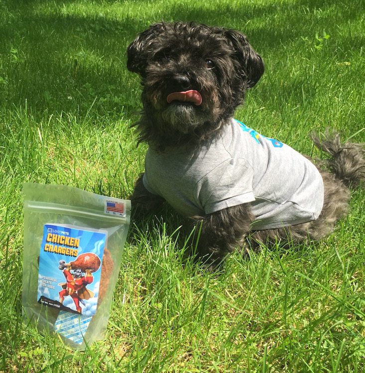 Loot Pets Subscription Box Review + Coupon May 2016 - with treats 2