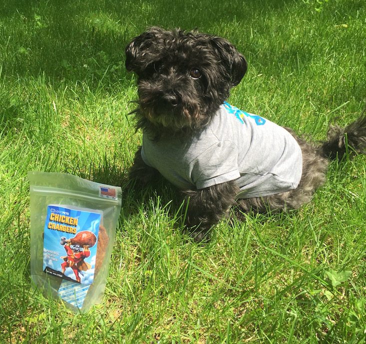 Loot Pets Subscription Box Review + Coupon May 2016 - with treats