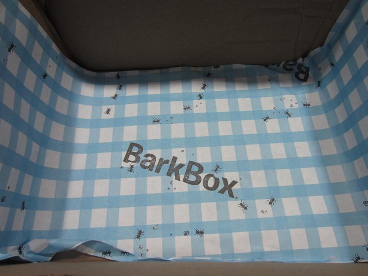 barkboxlarge-may-2016-paper