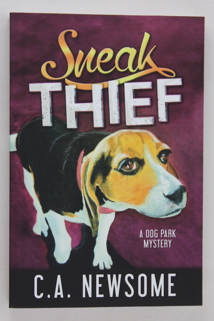 bookworm-box-april-2016-sneak-thief