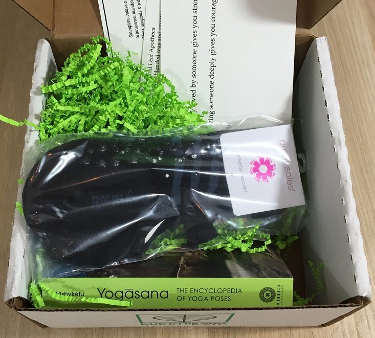 buddhibox-may-inside