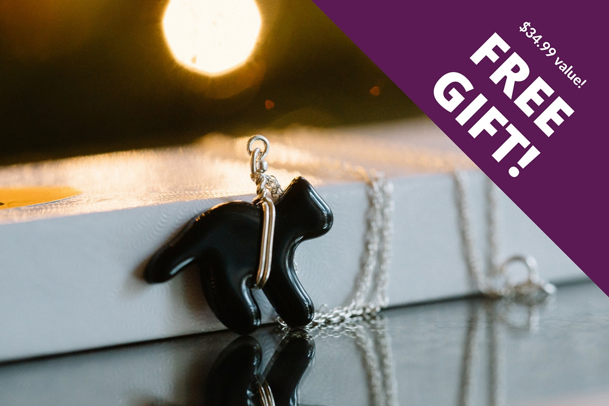 Free Black Cat Necklace with Cat Lady Box – Today Only!