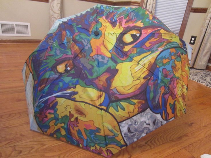catladybox-april-2016-umbrella2