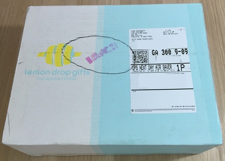 Lemon Drop Box Subscription Box Review + Coupon – May 2016