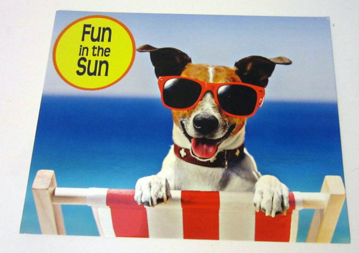 surprisemypetdog-may-2016-card1