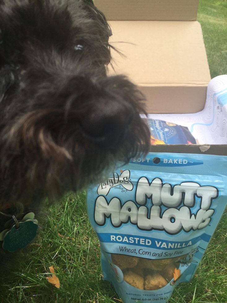BarkBox Subscription Box Review & Coupon June 2016 - treats 2