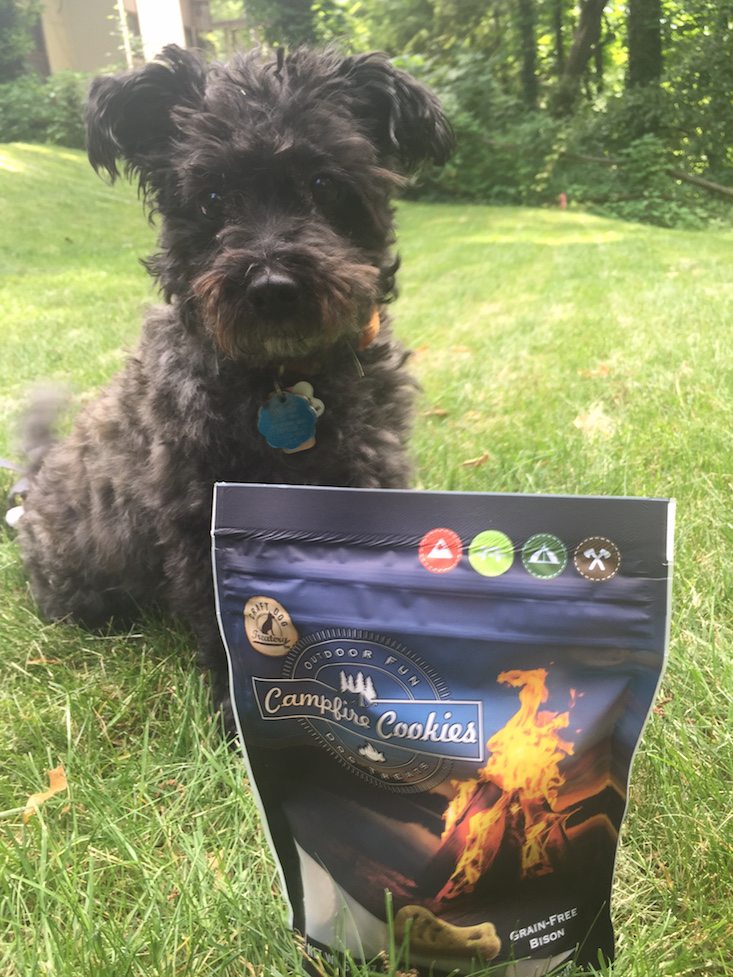 BarkBox Subscription Box Review & Coupon June 2016 - treats