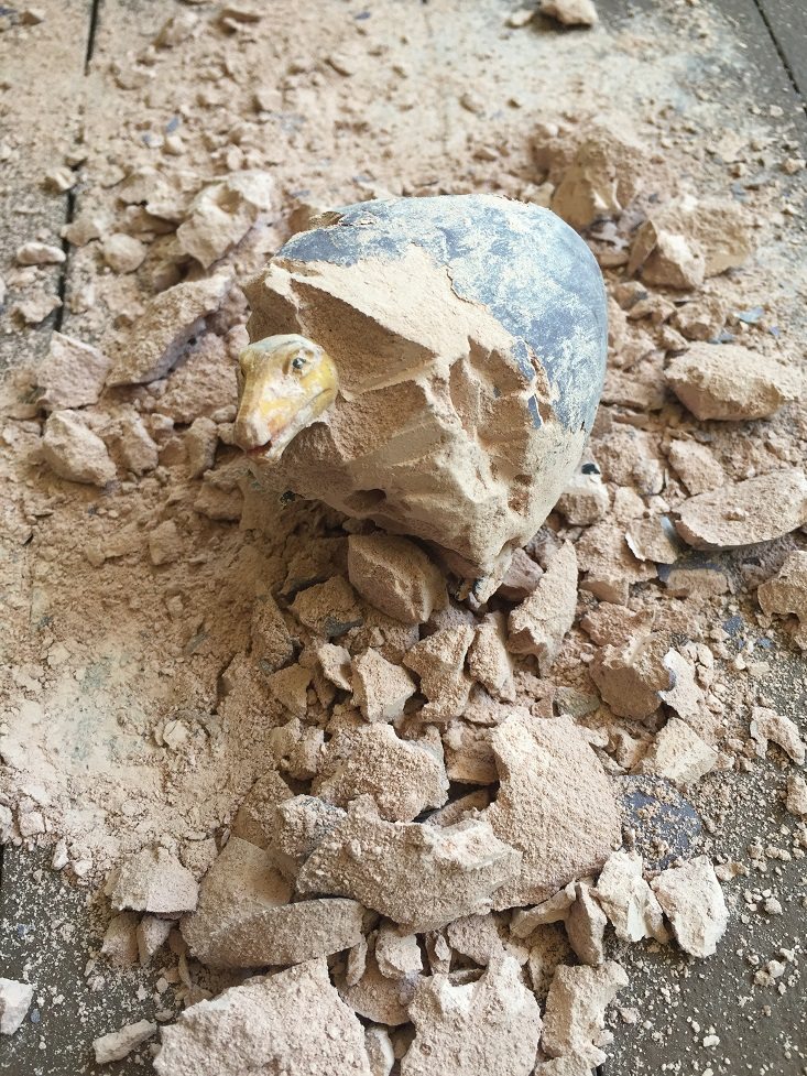 Dino Egg