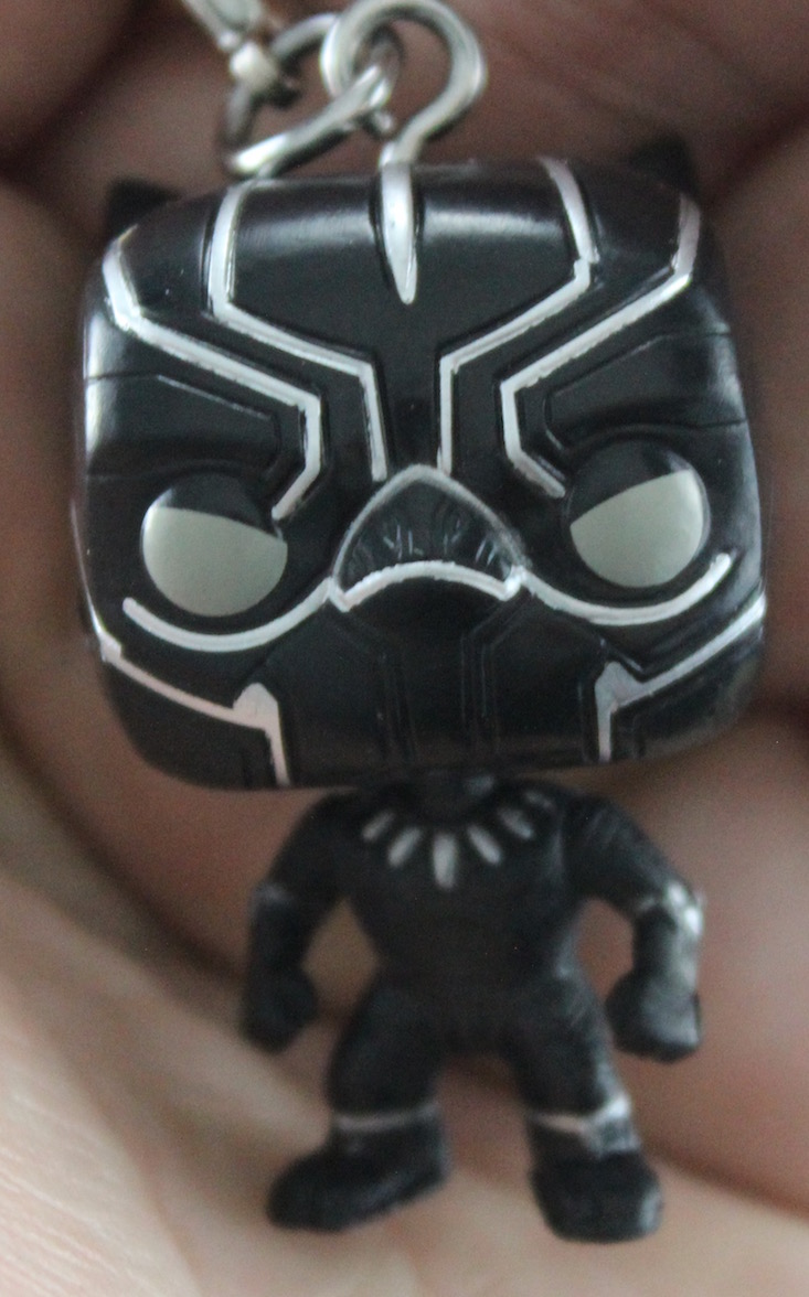 Fandora's Box Subscription Box Review May 2016 - black panther out of the box