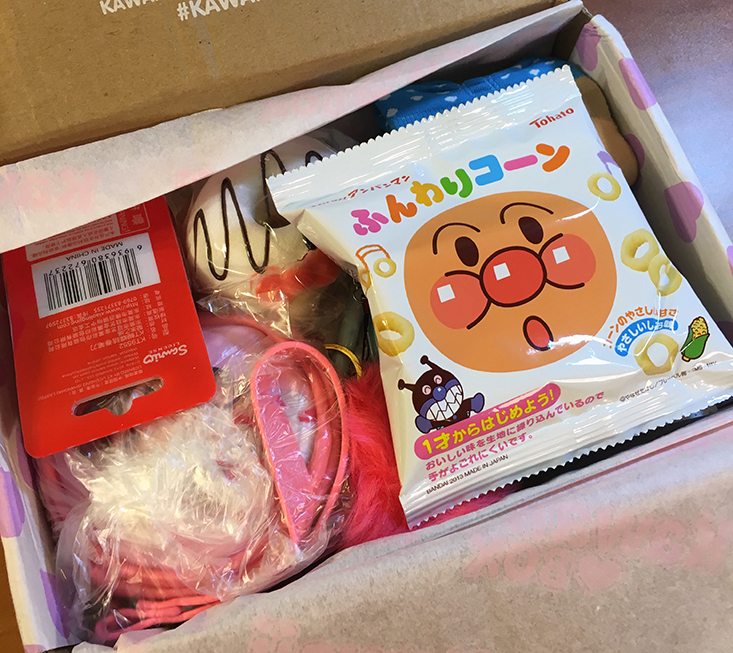 Kawaii-Box-May-2016-First-Look1