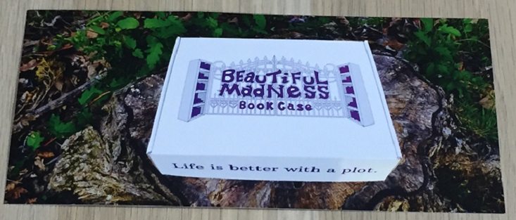 beautiful-madness-jun-bookmark
