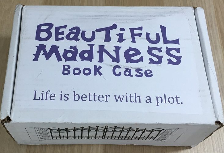 Beautiful Madness Book Case Chapter One Review + Coupon- Jun 2016