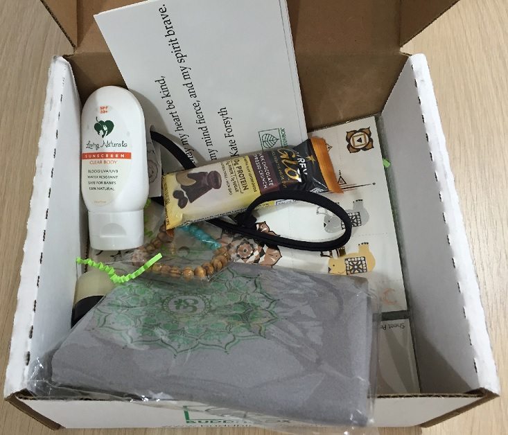buddhibox-jun-inside