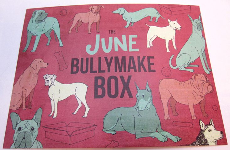bullymakebox-june-2016-card1