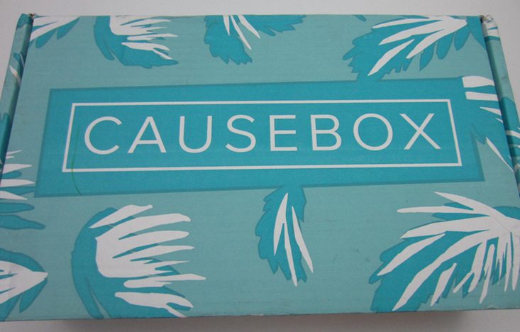 causebox-june-2016-box