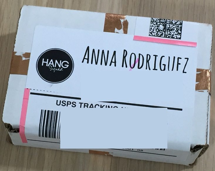 HangSquad Earrings Subscription Box Review – Jun 2016