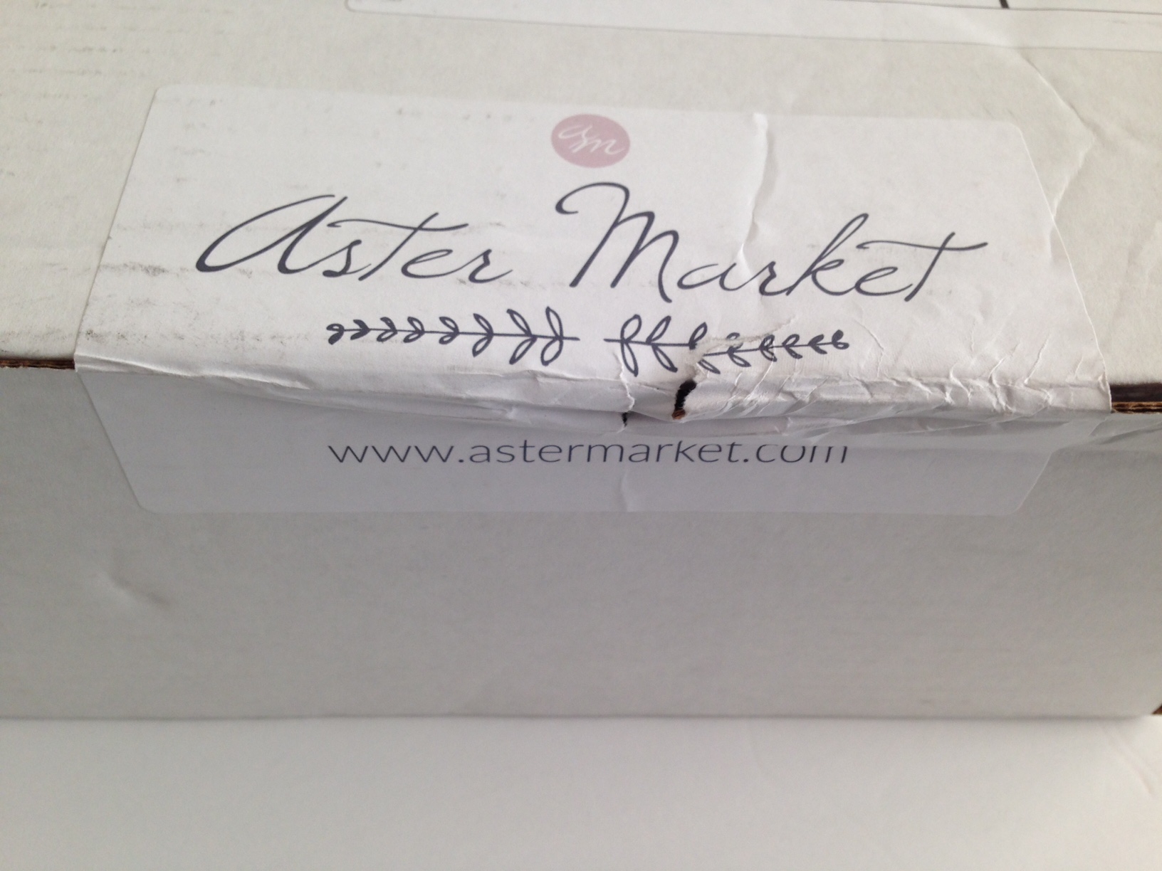 Aster Market Subscription Box Review + Coupon – June 2016