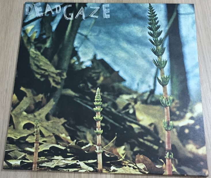vnyl-jun-dead-gaze