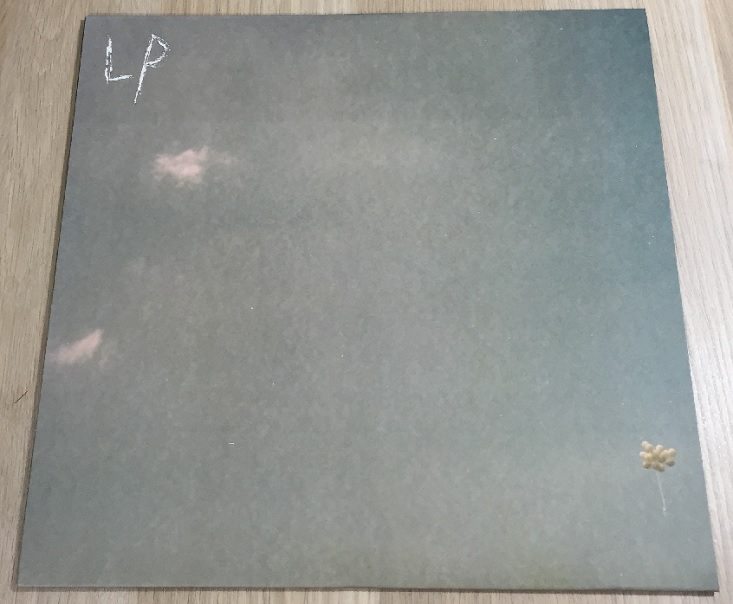 vnyl-jun-lotus plaza