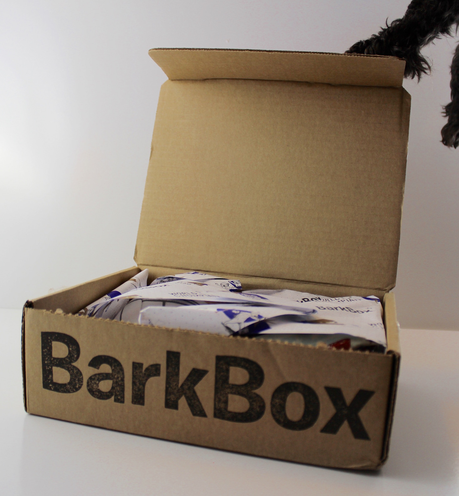 BarkBox Subscription Box Review + Coupon July 2016 - openend