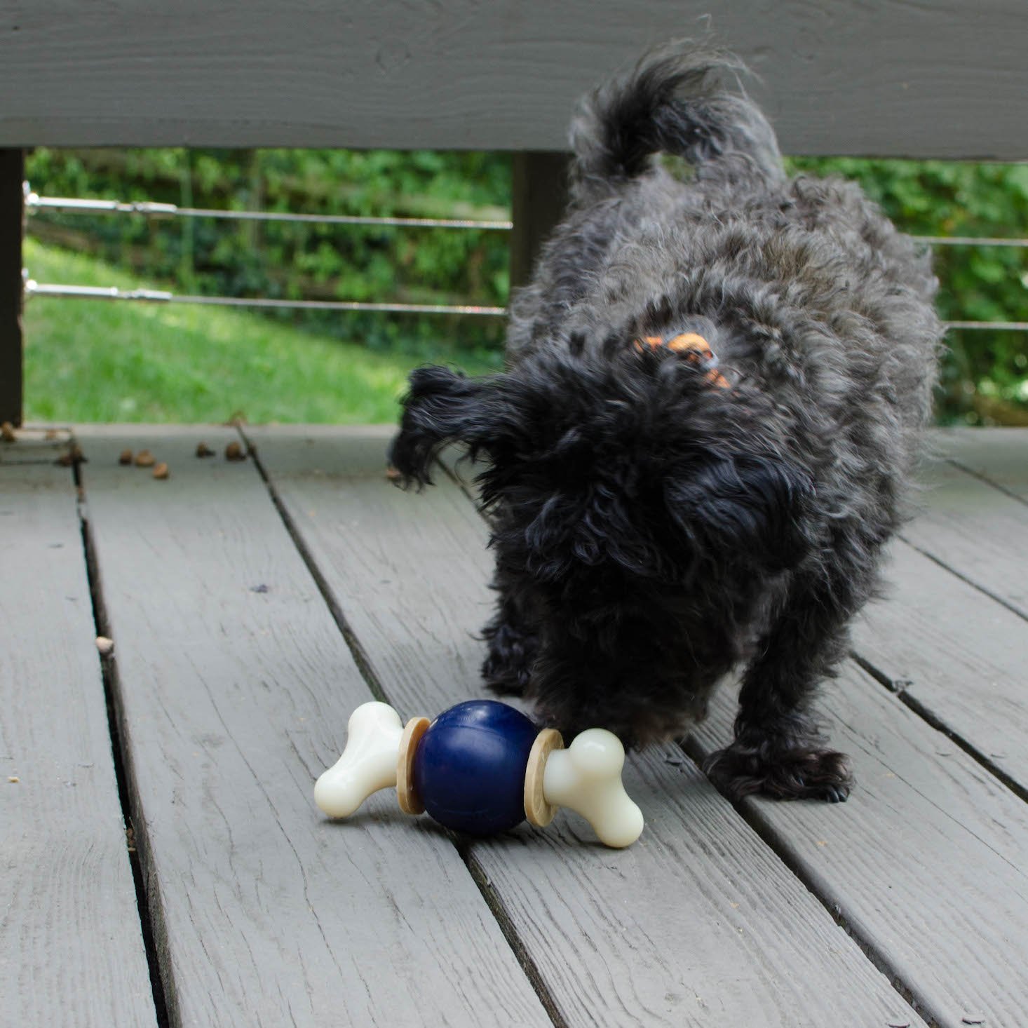 BarkBoxJuly-14