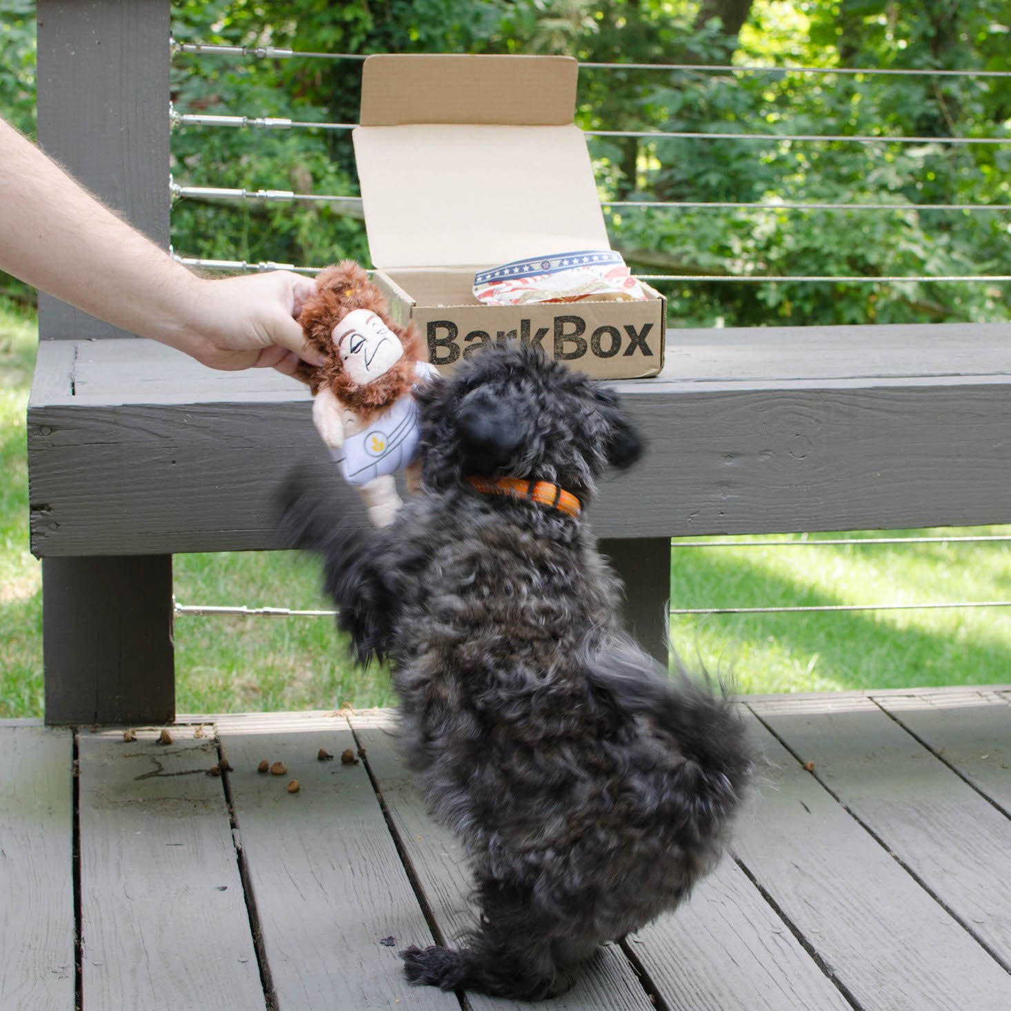 BarkBoxJuly-2