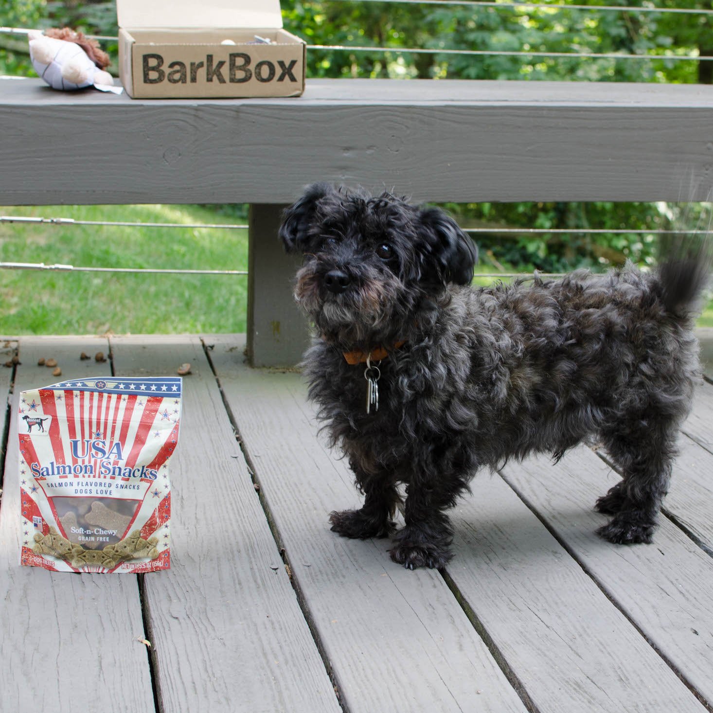 BarkBoxJuly-4