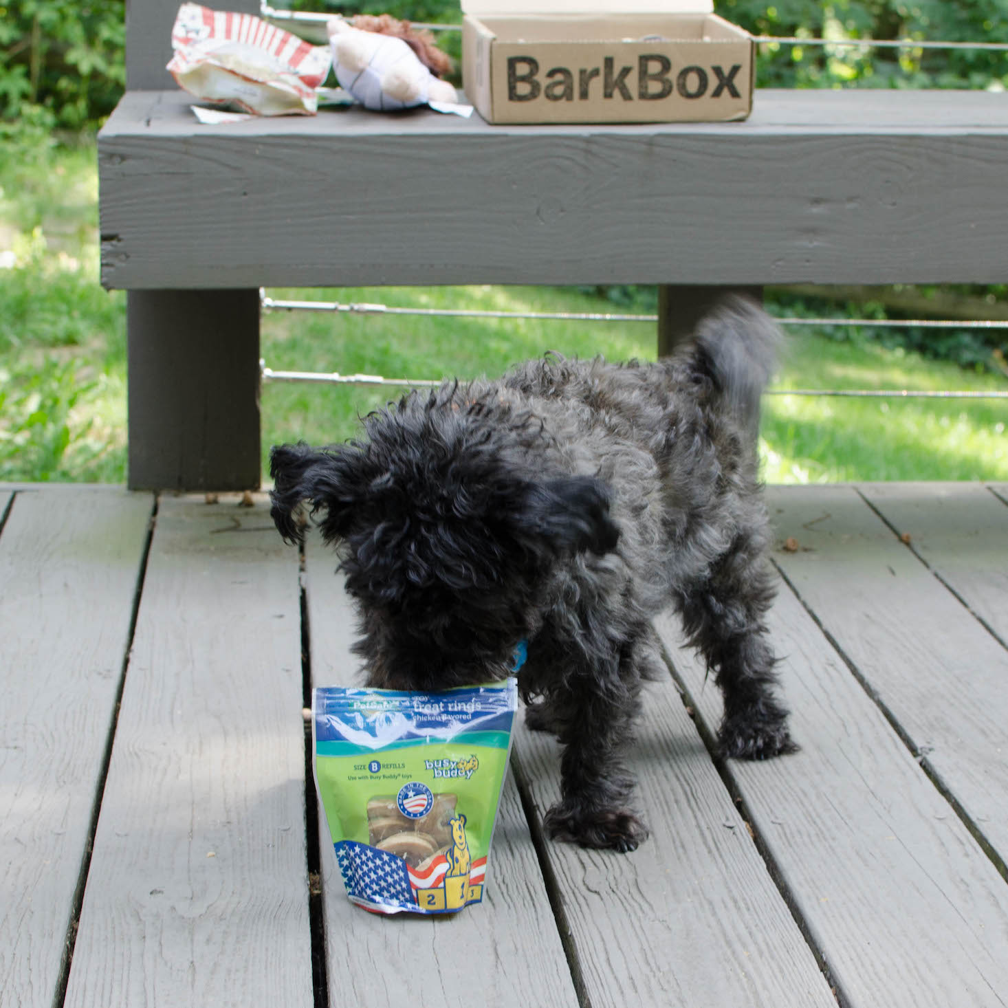 BarkBoxJuly-7