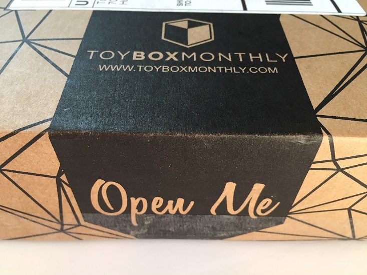 Toy Box Monthly Subscription Box Review – June 2016