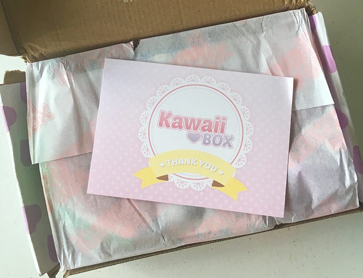 Kawaii-Box-June-2016-First-Look1