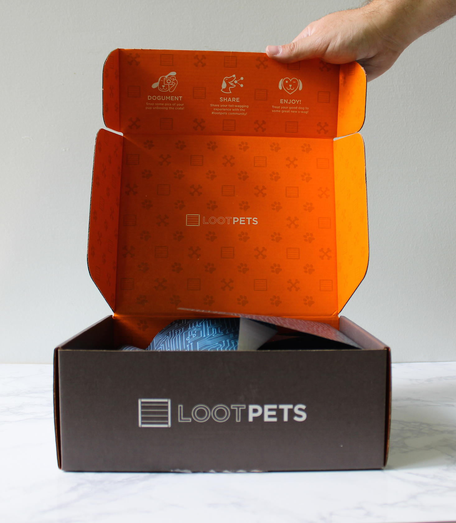 Loot Pets july-148