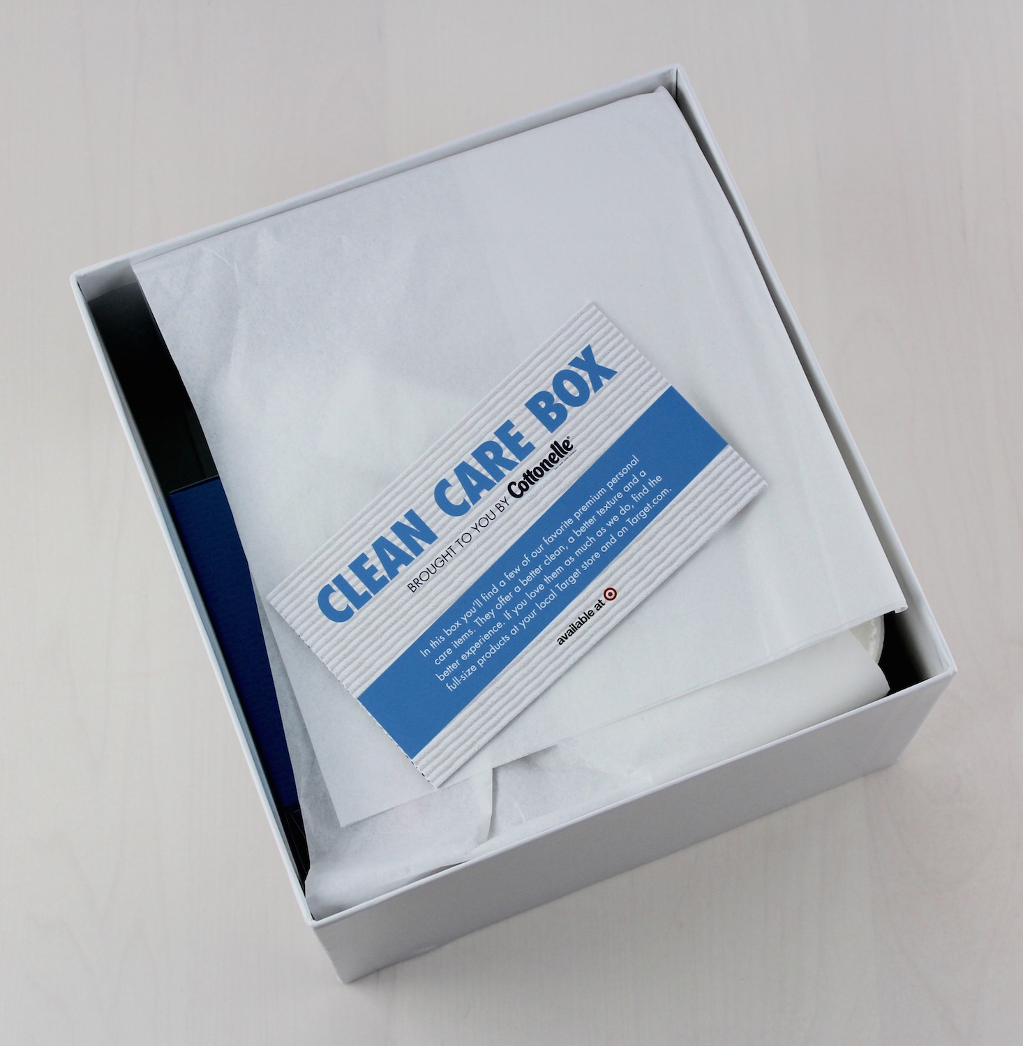 Target-clean-care-box-review-open