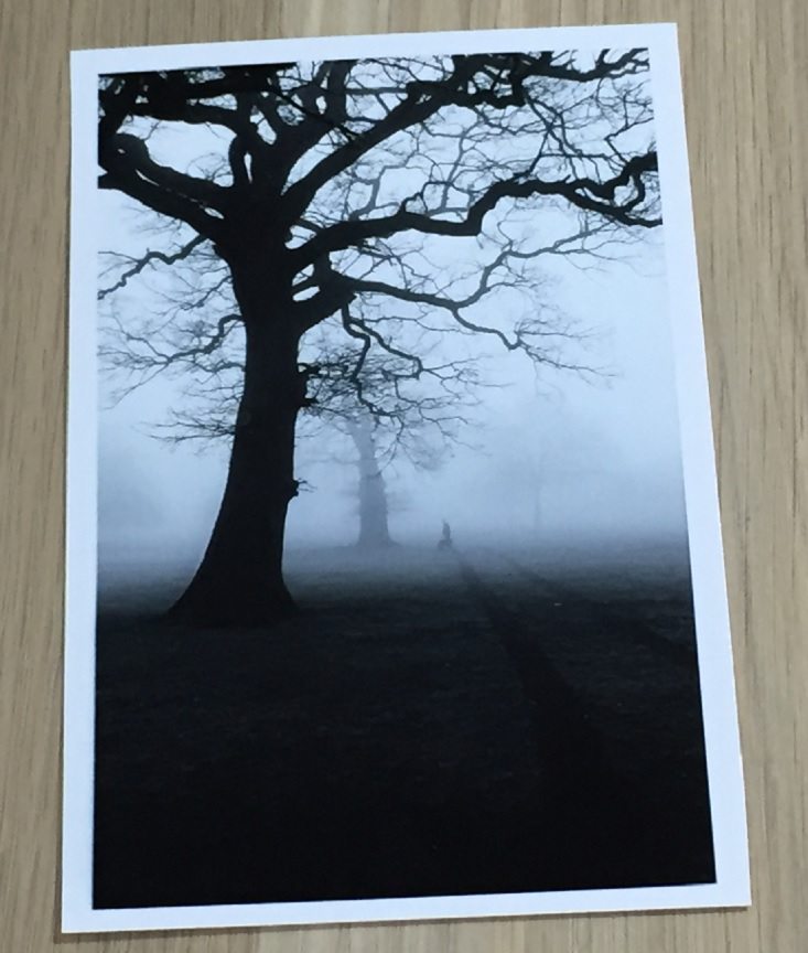 beautiful-madness-jul-photo