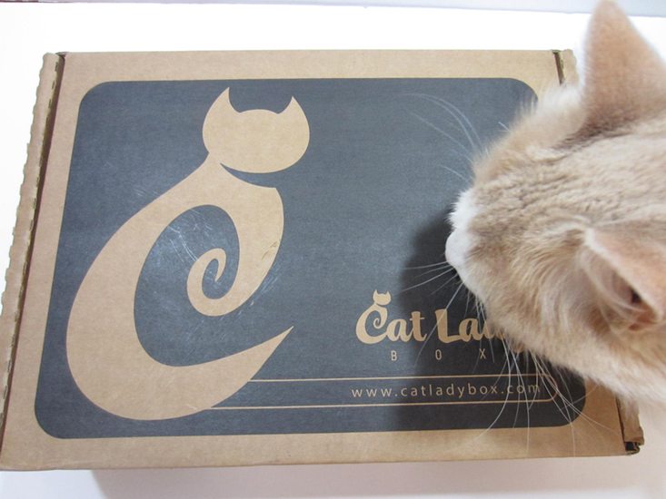 catladybox-july-2016-monkeybox