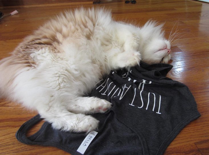 catladybox-july-2016-monkeyshirt