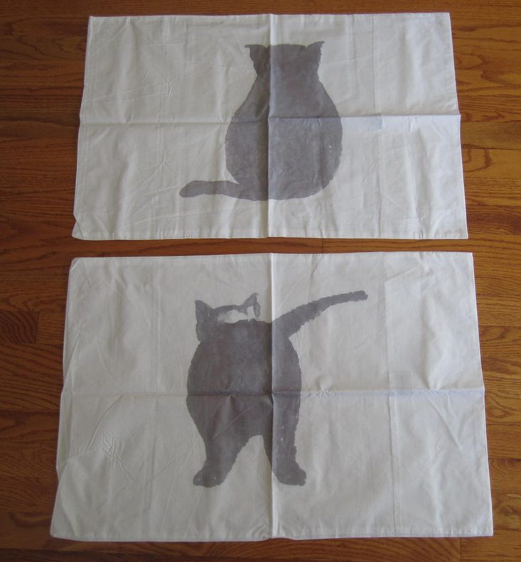 catladybox-june-2016-pillows