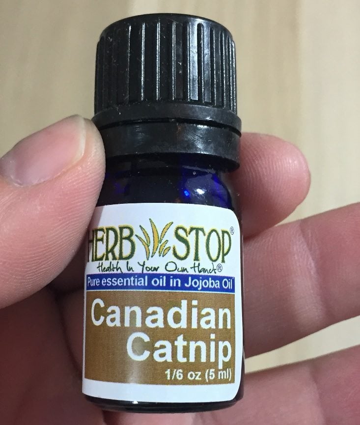 herb-stop-jul-catnip