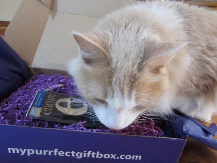 mypurrfectgiftbox-june-2016-monkeybox