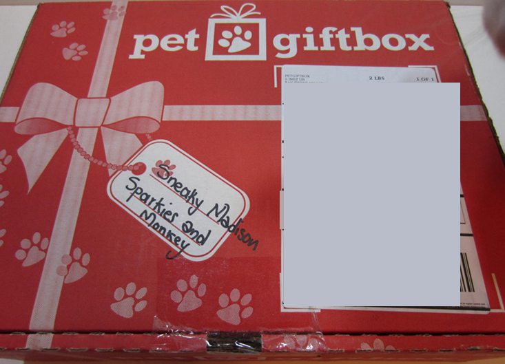 petgiftboxcat-july-2016-box