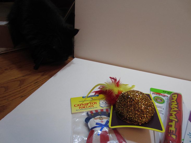 petgiftboxcat-july-2016-madisonitems