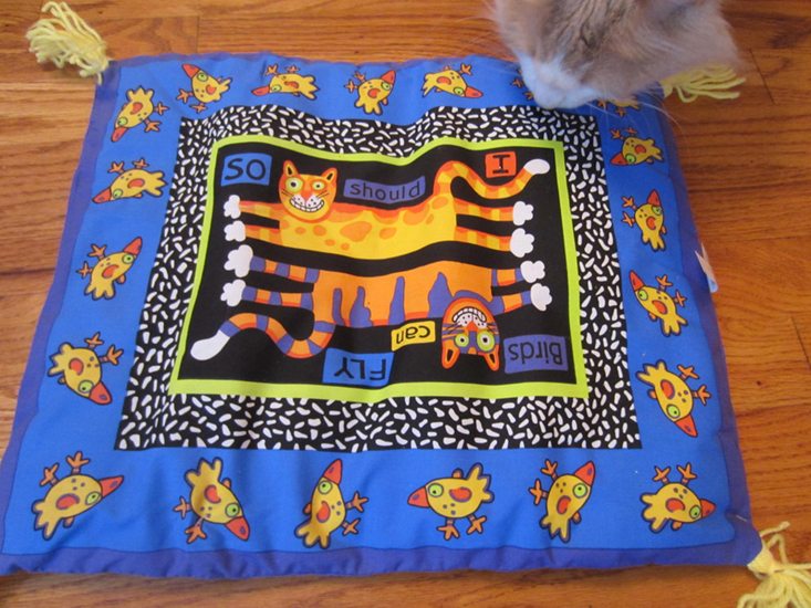 purrpacks-july-2016-blanket