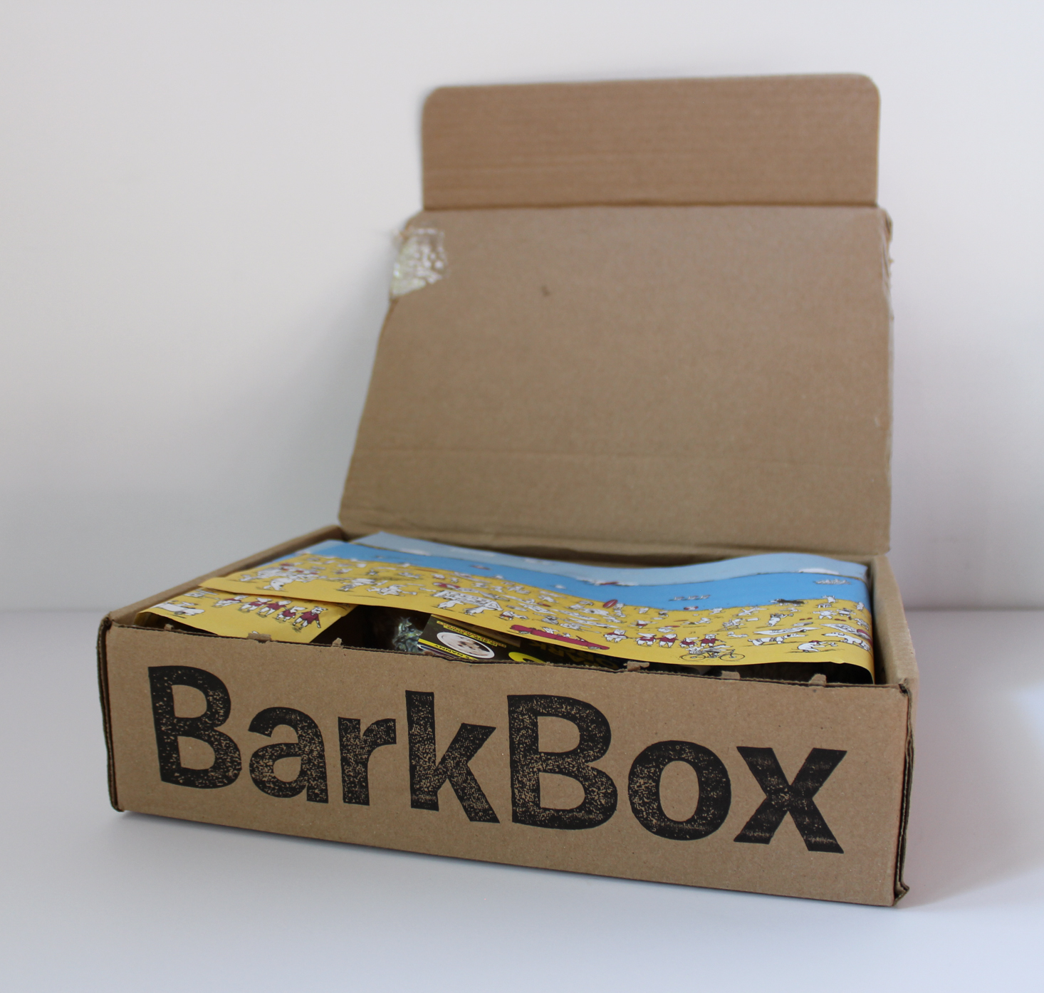 Barkbox August 2016 - 2