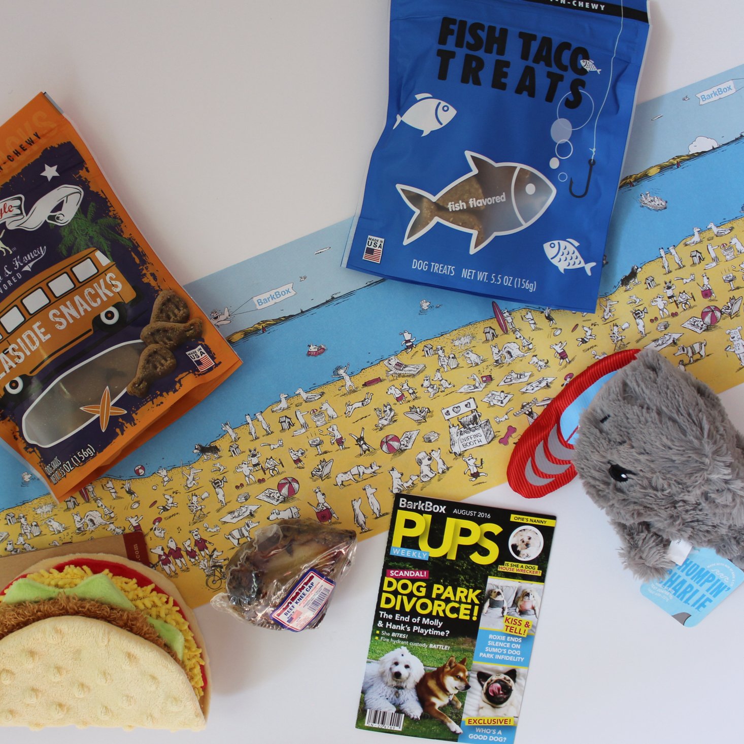 Barkbox August 2016 - 4