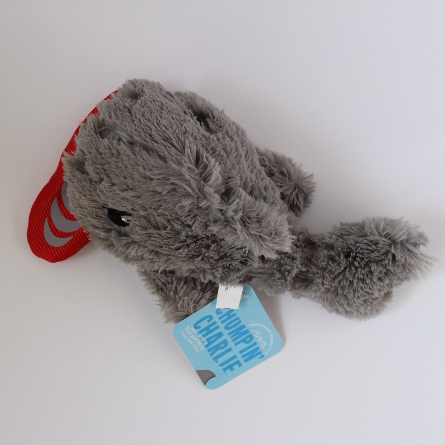 Barkbox August 2016 - 6