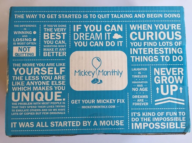 Mickey Monthly Subscription Box Review + Coupon – July 2016