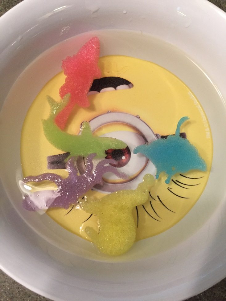 Foam Animals 2