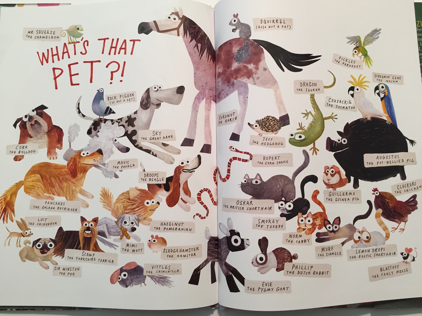 Pets 4