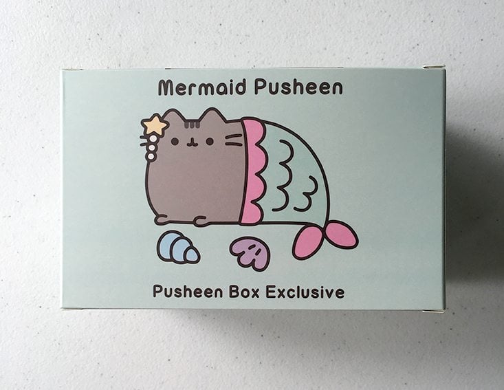 Pusheen-Box-Summer-2016-5a